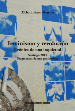 Imagen de apoyo de  Feminismo y revolución: crónica de una inquietud. Santiago 2019. Fragmentos de una paz insólita /