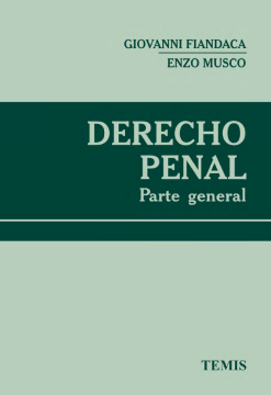 Derecho penal (ebook)