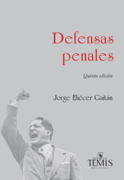 Defensas penales (ebook)