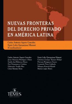 Nuevas fronteras del derecho privado en América Latina (ebook)