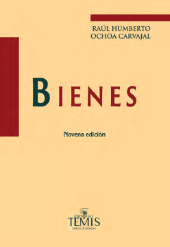 Bienes (ebook)