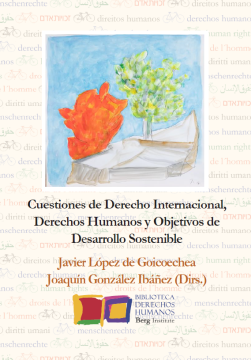 Cuestiones de Derecho Internacional, Derechos Humanos y Objetivos de Desarrollo Sostenible (ebook)
