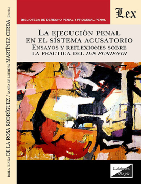 La Ejecucion Penal en el Sistema Acusatorio. Ensayos y Reflexiones sobre la Práctica del Ius Puniendi (ebook)