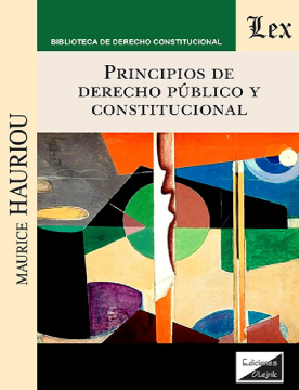 Principios de Derecho Público y Constitucional (ebook)