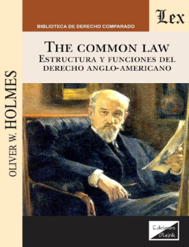 The Common Law: Estructura y Funciones del Derecho Anglo - Americano  (ebook)