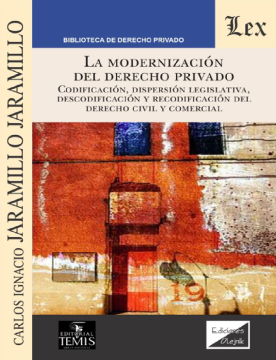 La Modernización del Derecho Privado (ebook)