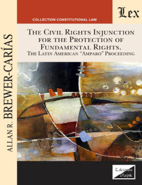 The Civil Rights Injunction for the Protection of Fundamental Rights (ebook)