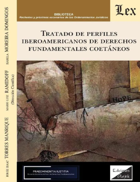 Tratado de Perfiles Iberoamericanos de Derechos Fundamentales Coetáneos (ebook)
