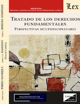 Tratado de los Derechos Fundamentales. Perspectivas Multidisciplinares (ebook)