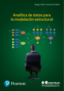 Analítica de datos para la modelación estructural (ebook)