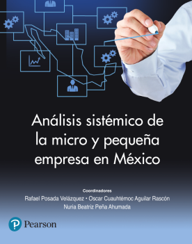 Análisis sistémico de la micro y pequeña empresa en México  (ebook)