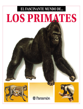 El fascinante mundo de los primates (Ebook)