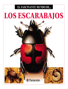 El fascinante mundo de los escarabajos (Ebook)