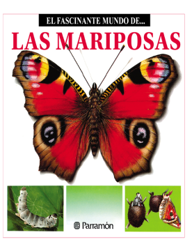 El fascinante mundo de las mariposas (Ebook)