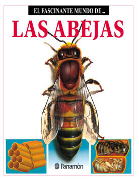 El fascinante mundo de las abejas (Ebook)