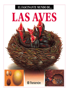 El fascinante mundo de las aves (Ebook)