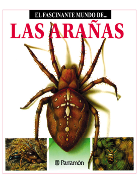 El fascinante mundo de las arañas (Ebook)