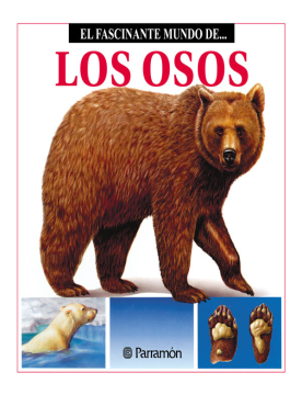 El fascinante mundo de los osos (Ebook)