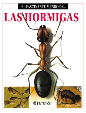 El fascinante mundo de las hormigas (Ebook)