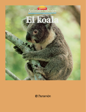 El koala (Ebook)