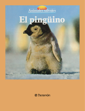 El pingüino (Ebook)
