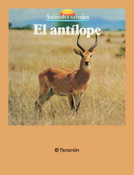 El antílope (Ebook)
