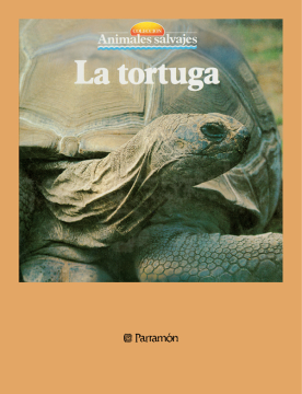 La tortuga (Ebook)