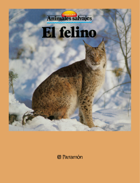 El felino (Ebook)