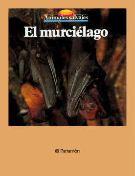 El murciélago (Ebook)