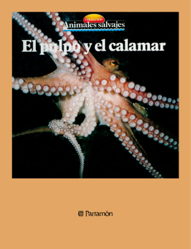 El pulpo y el calamar (Ebook)