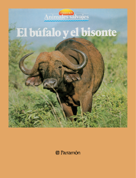 El búfalo y el bisonte (Ebook)