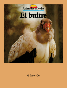 El buitre (Ebook)