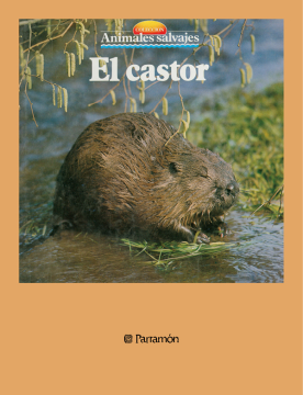 El castor (Ebook)