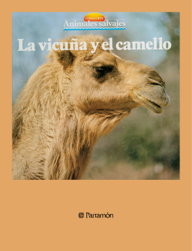 La vicuña y el camello (Ebook)