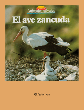 El ave zancuda (Ebook)
