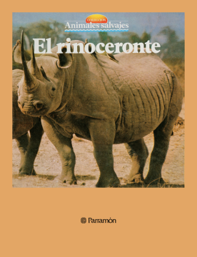 El rinoceronte (Ebook)