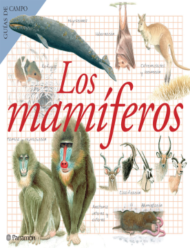 Los mamíferos (Ebook)