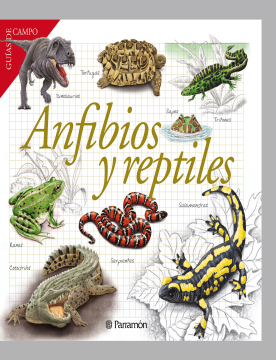 Anfibios y reptiles (Ebook)
