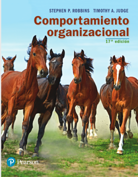 Comportamiento organizacional (ebook)