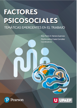Factores psicosociales (ebook)