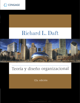 Donación  - Teoría y diseño organizacional